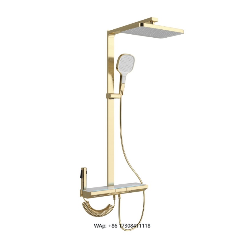 Handheld Shower Head High Pressure Filter - Hand-held rain shower head with filter,