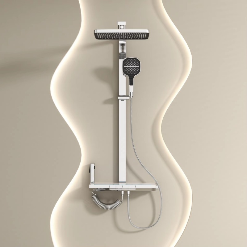 Hand-held rain shower head wit - Handheld Shower Head High Pressure Filter recension och pris